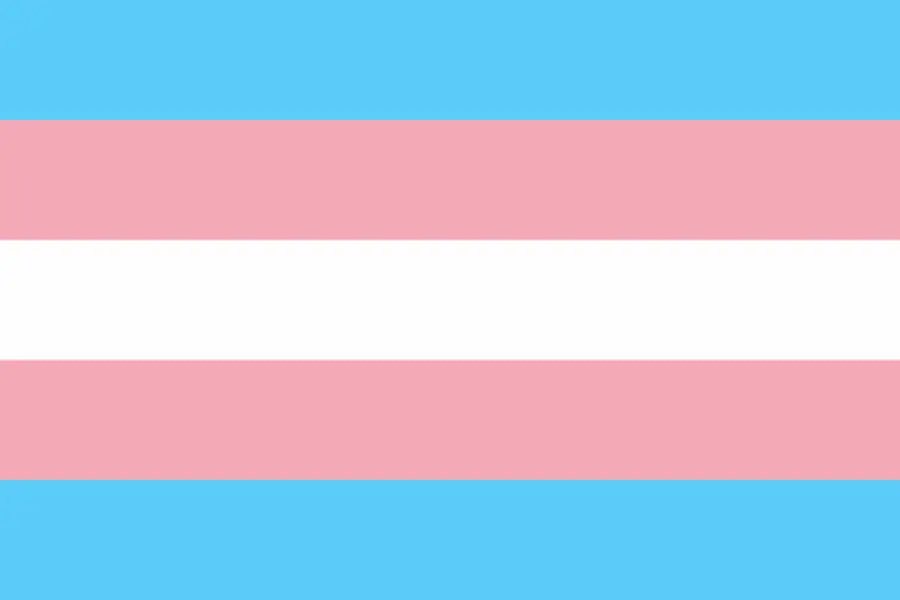 transgender pride flag