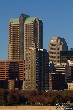 Morning sun vertical skyline