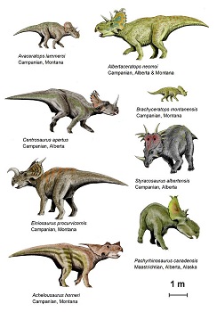 Cretaceous Animals And Plants