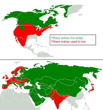 Where Do Wolves Live Map