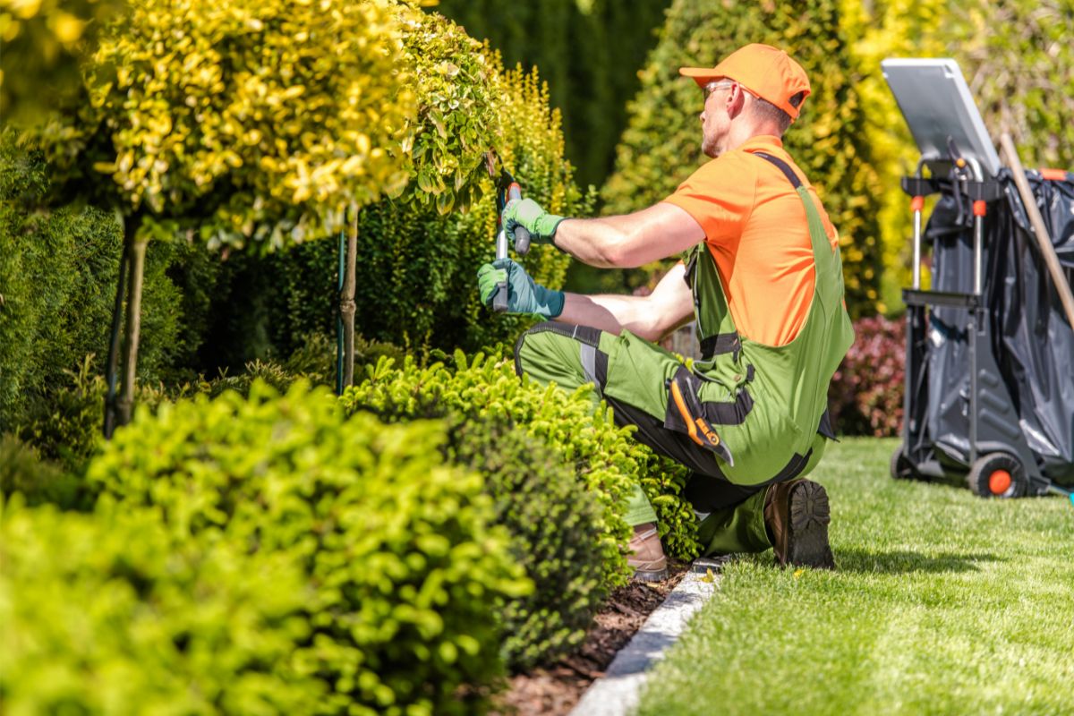 How to Create a Plant-Filled Landscape Berm To Your Garden