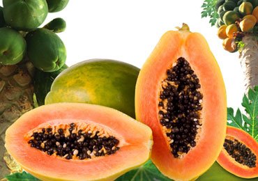 Benefits of Papaya for health.