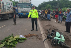 Bocah 12 Tahun Tewas Terlindas Truk Tronton di Muara Enim