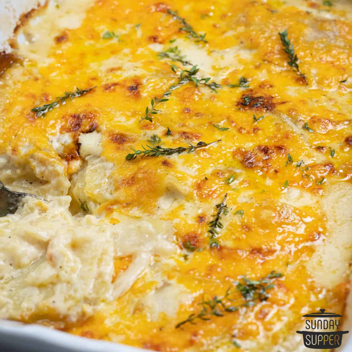 close up of scalloped potatoes