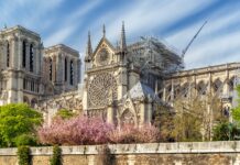 Curiosidades de Notre Dame