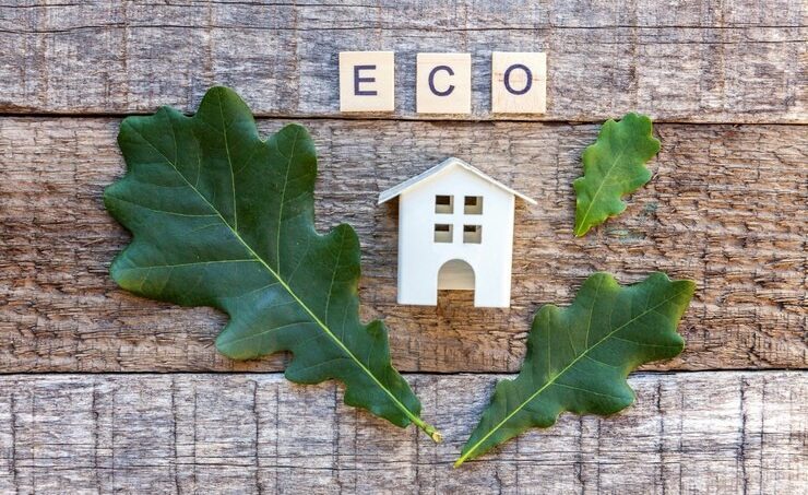 Eco-Friendly Homes