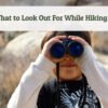 What to Look Out For While Hiking