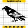 Raven SVG