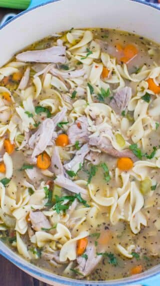 Homemade Chicken Noodle Soup Recipe