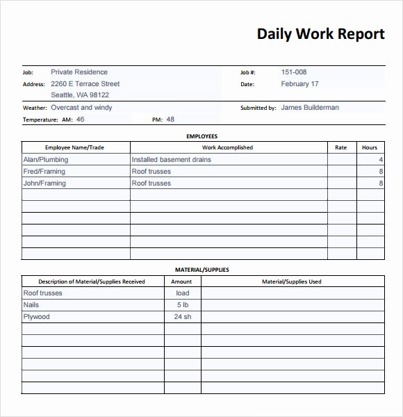 Security Daily Activity Report Template Luxury 19 Sample Daily Reports