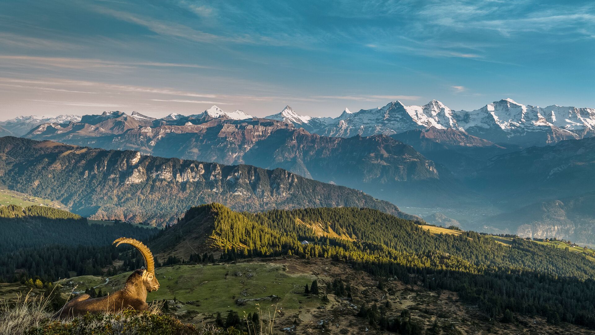 Sigriswil Gemmenalphorn ©Switzerland Tourism/Martin Maegli