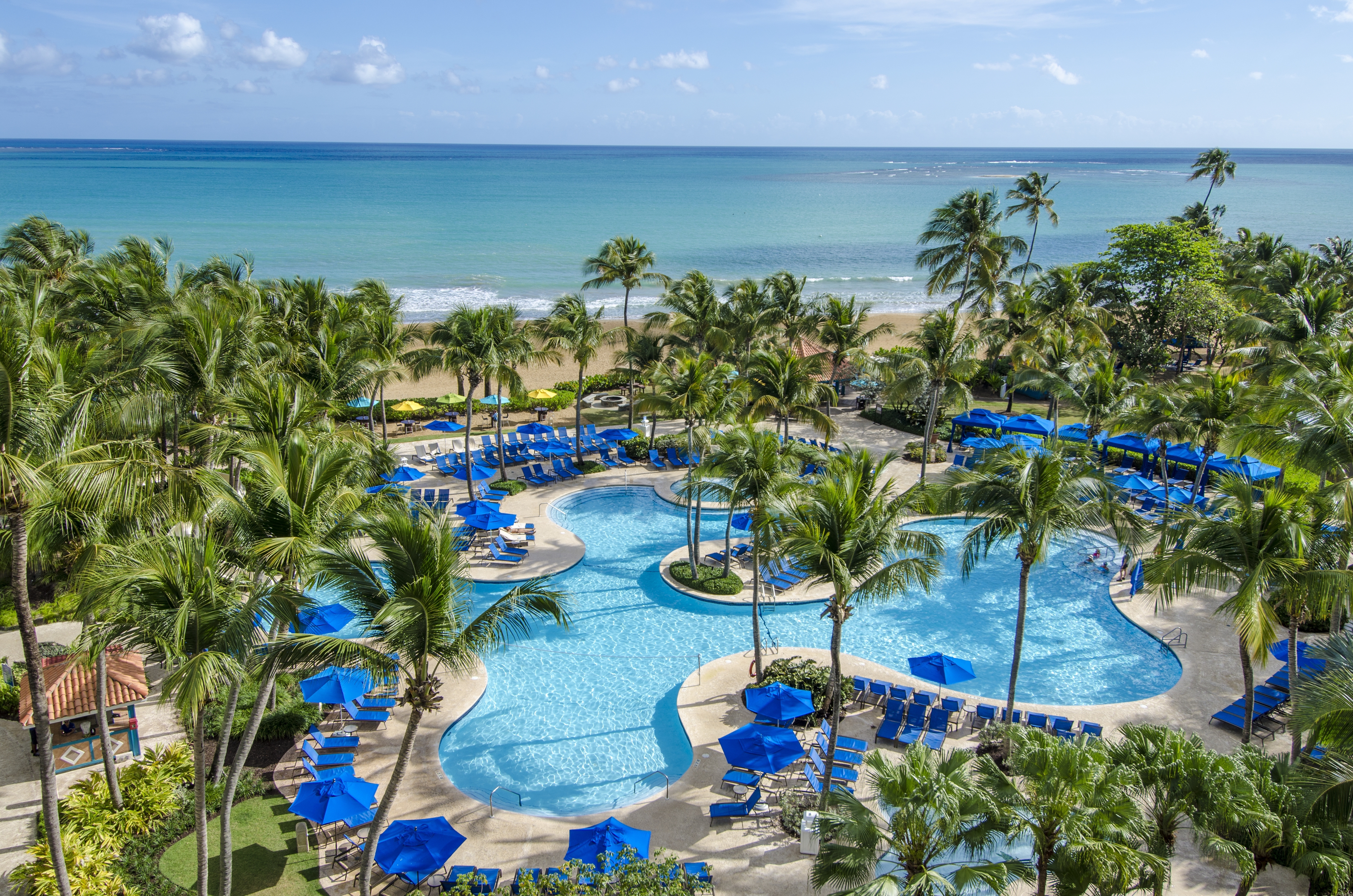 ariel shot of the pool on a sunny day with the flat ocean in the background and blue pool umbrellas and chairs and lots of green and vibrant palm trees