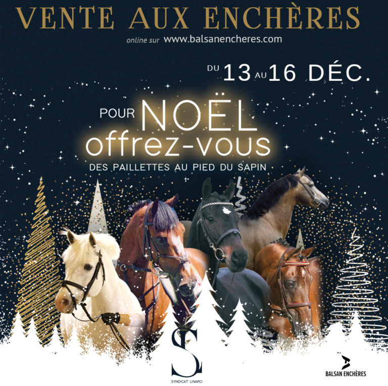 2e vente aux enchères semence étalon poney Syndicat Linaro