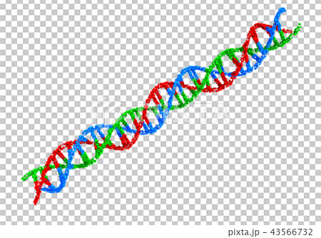 Triple helix DNA 43566732