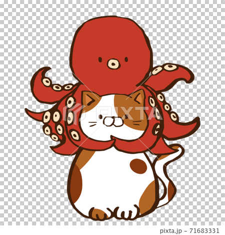 Octopus and cat 71683331