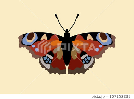 Peacock eye butterfly. Aglais io. Vector isolated illustration. 107152883