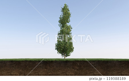 tree on the grass and a slice of soil under it, 3d render 119388189