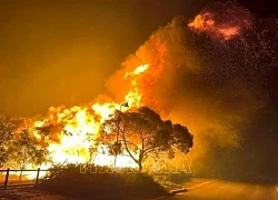 Australia: Cháy rừng hoành hành tại bang Victoria, hàng trăm người sơ tán