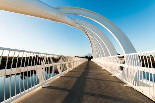 Te Rewa Rewa Bridge Walkway