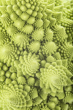 Textura del romanesco broccoli fresco