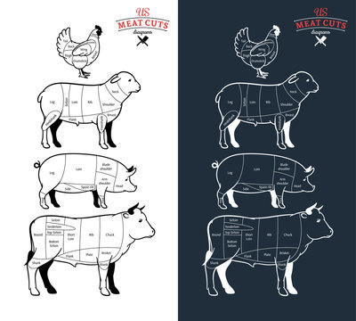 American (US) Meat Cuts Diagrams