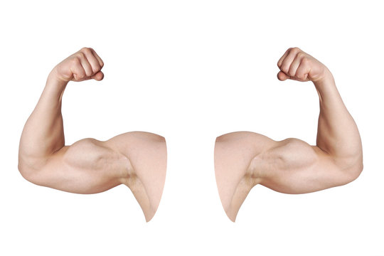 cut out male arms with flexed biceps muscles isolated on white