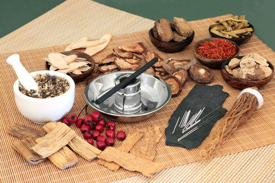 Traditional Chinese herbs used in herbal medicine with acupuncture needles and moxa stick used in moxibustion therapy on bamboo mats and green background.