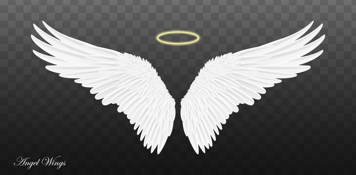 Angel Wings Transparent Images – Browse 2,531 Stock Photos, Vectors, and  Video | Adobe Stock