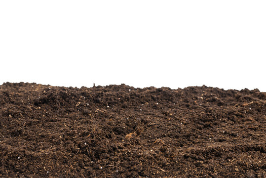 Soil Background