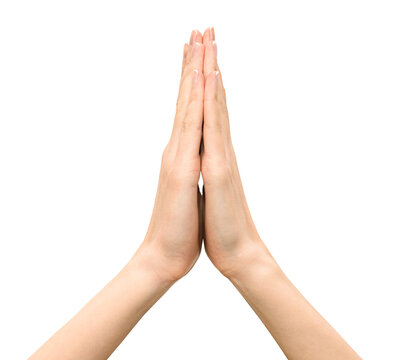 Praying Hands Isolated Images – Browse 65,882 Stock Photos, Vectors, and  Video | Adobe Stock