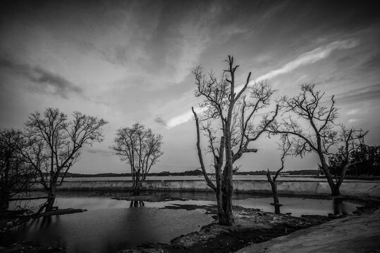 Blackwhite Panorama Photos at batam bintan island Indonesia