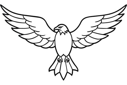 Soaring eagle with spread wings line art vector illustration