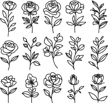 One-line drawing of a decorative, fresh blossoming rose silhouette with leaves, isolated on a white background. Hand-drawn sketch, vector stock illustration