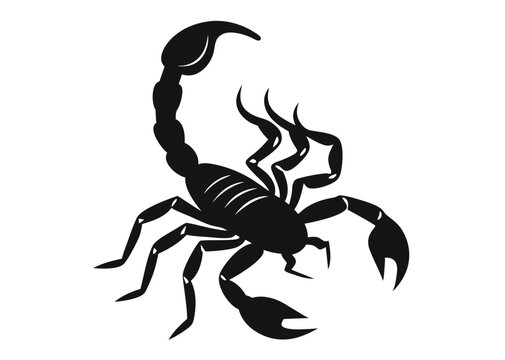 scorpion silhouette vector illustration white background  