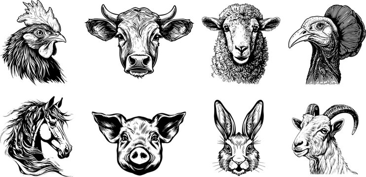 
Vector vintage sketch of farm animals: rabbit, cow, pig, sheep, chicken, horse, and goat. Engraved illustration Set of animal head.