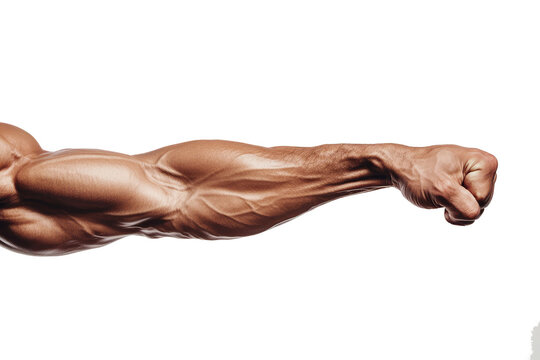 muscular male arm with clenched fist isolated on transparent background