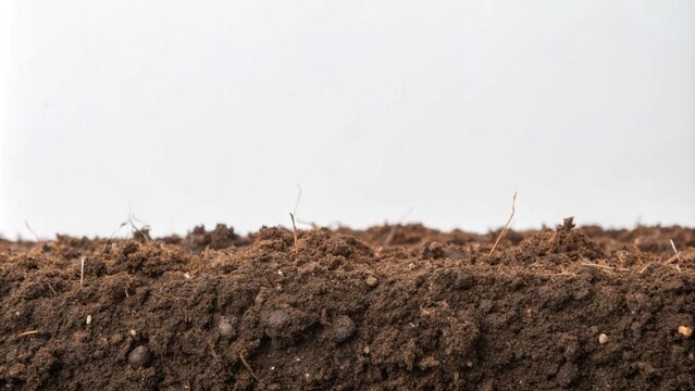 Horizontal soil texture background isolated on a white backdrop, ideal for banner use