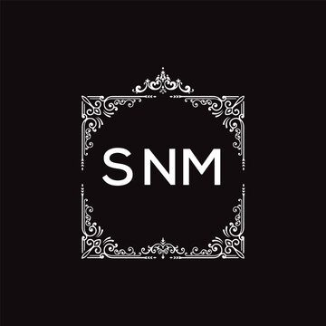 Letter SNM Logo, Three Letter Logo, Alphabet S N M Hexagon Shape Vector Icon Template