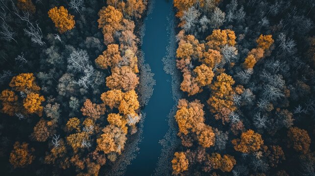 Aerial view of a mangrove forest with a river in the middle, highly detailed, professional drone photography, wide-angle lens, professional color grading.