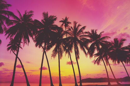 3,452 BEST Beach Sunset Vintage Toned IMAGES, STOCK PHOTOS & VECTORS ...