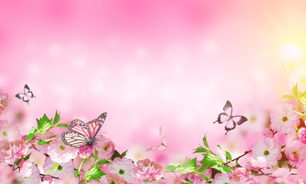 Butterfly Background Pink Images – Browse 148,395 Stock Photos, Vectors,  and Video | Adobe Stock