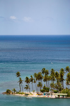 Tall palms on the small beach at Marigot Bay, St. Lucia, Windward Islands Caribbean