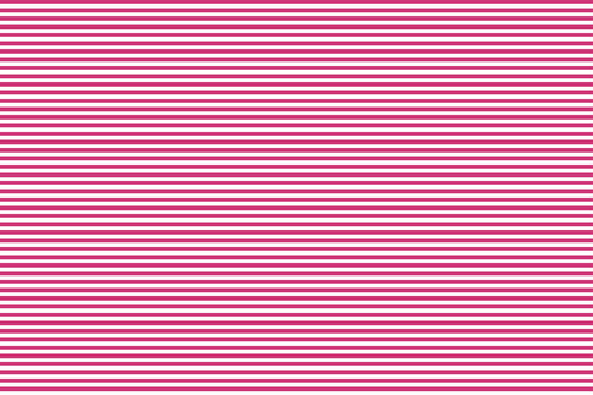 Pattern stripe seamless pink yarrow and white colors. Horizontal pattern stripe abstract background vector.