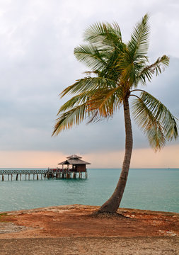 Palm tree on background Floating Restaurant at evening, Bintan, Indonesia.