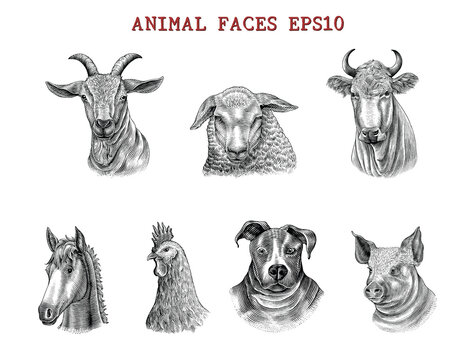 Animal faces hand draw engraving style black and white clip art isolated on white background