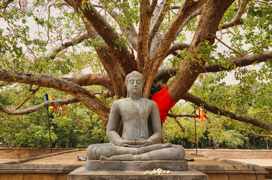 Buddha Statue at Abhayagiri Dagaba in Anuradhapura, Sri Lanka