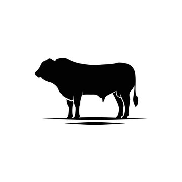 cattle angus cow buffalo bison livestock silhouette