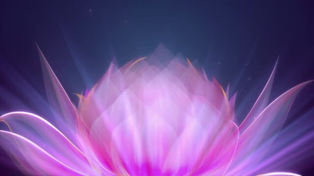 Beauty soft pink purple flower with particles and grow animation