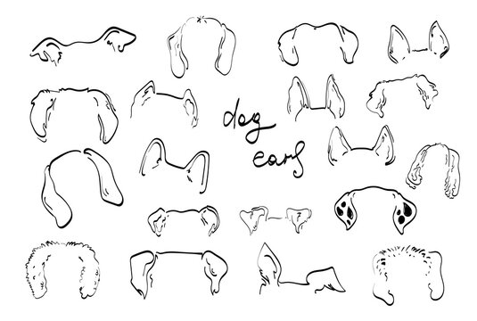 Pet dog Ears tattoo Outline Drawing doodle  vector icon illustration