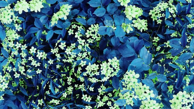 blue flowers background. 3d animation of blue flowers. blue flowers in the wind. 3d flower bush in the wind. flowers with blue leaves